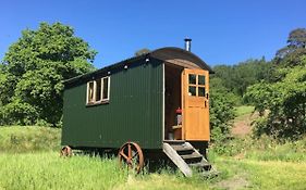 Cosy Woodland Off Grid Shepherds Hut - Rowan