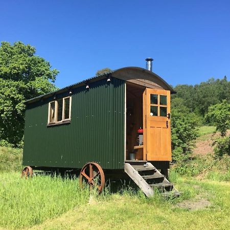Cosy Woodland Off Grid Shepherds Hut - Rowan Villa Castle Douglas Exterior photo
