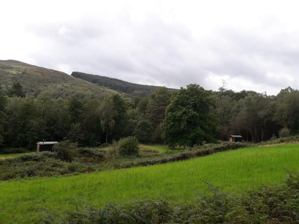 Cosy Woodland Off Grid Shepherds Hut - Rowan Villa Castle Douglas Exterior photo