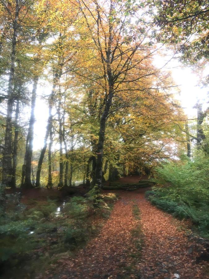 Cosy Woodland Off Grid Shepherds Hut - Rowan Villa Castle Douglas Exterior photo